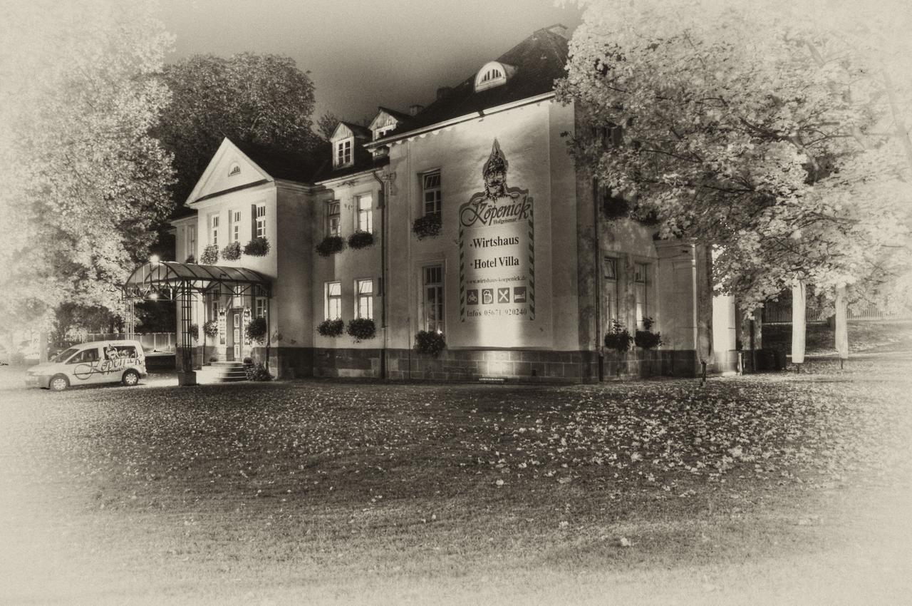 Hotel Villa Wirtshaus Koepenick Hofgeismar Εξωτερικό φωτογραφία